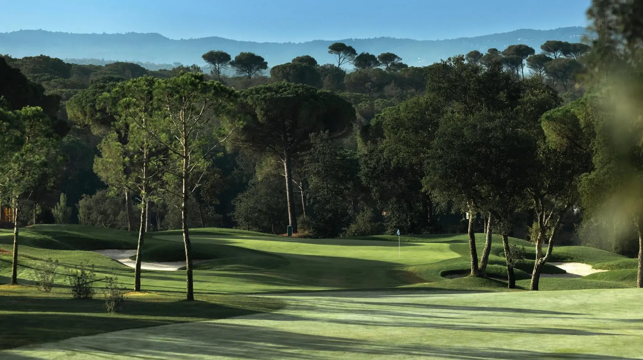 Woodland golf green at Camiral
