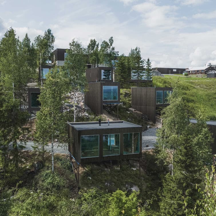 Dark timber view cabins on stilts among birch trees on the hillside