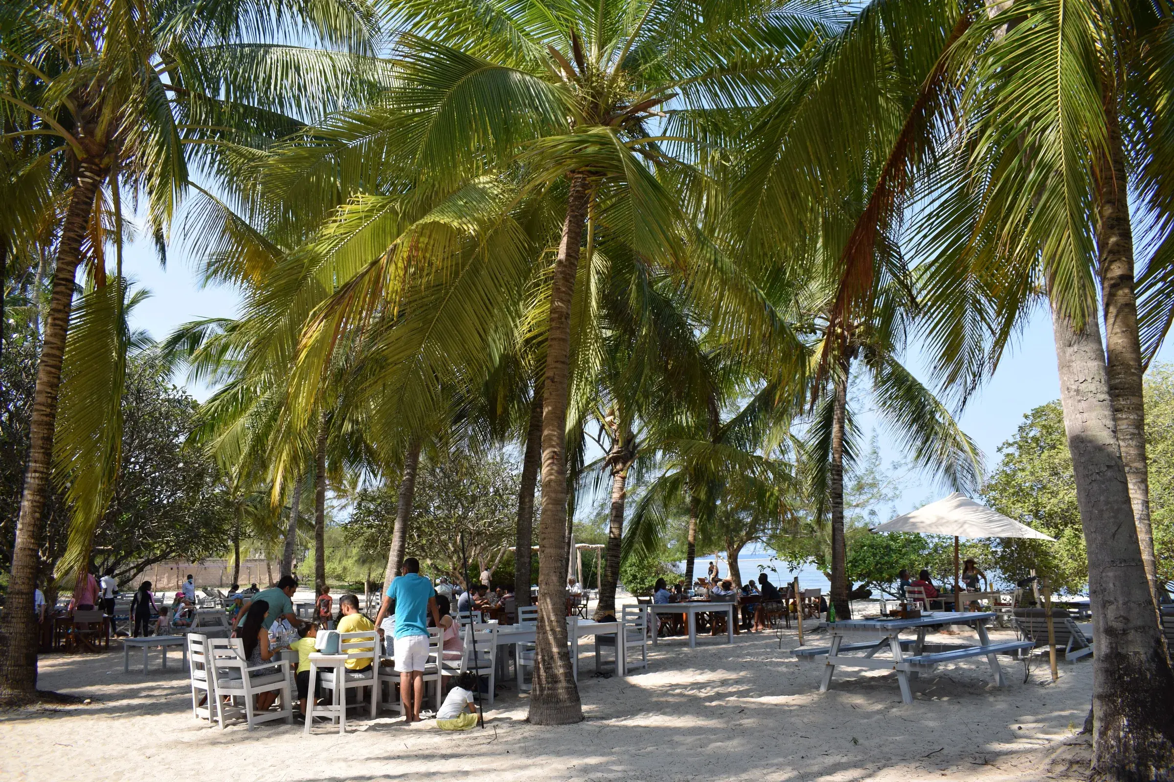 Palm-shaded beach club at Vipingo Ridge